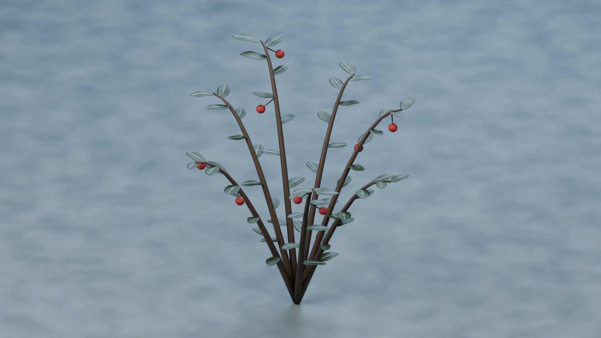 Frosted Lingonberry - Small Evergreen Leaves and Berries 3D https://p.turbosquid.com/ts-thumb/eS/2dnaQk/KB/product_05/jpg/1793214401/1920x1080/fit_q87/008294d0a9f3ad4e7b06aeabd7c68916f7d0dd0f/product_05.jpg