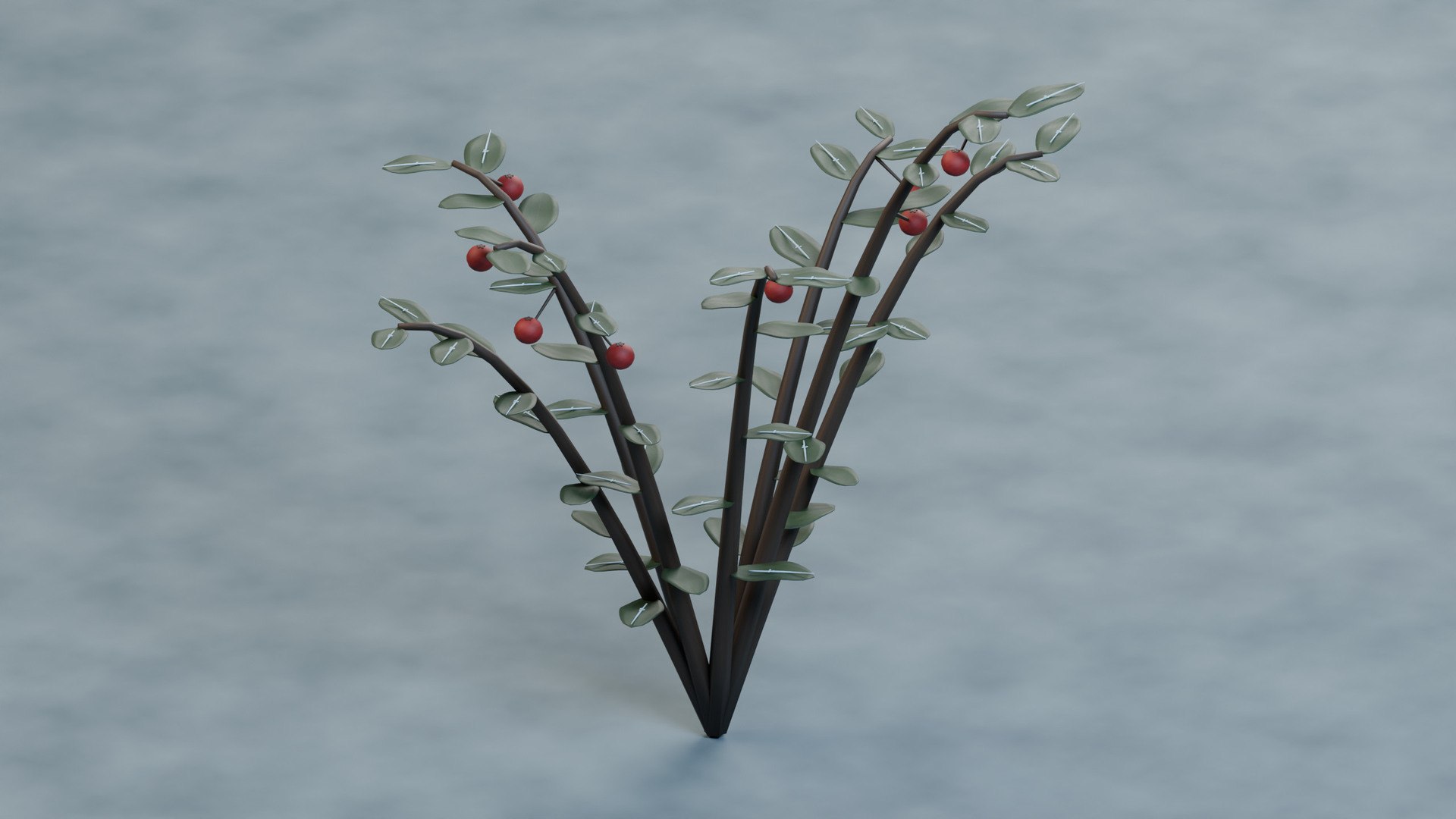 Frosted Lingonberry - Small Evergreen Leaves and Berries 3D https://p.turbosquid.com/ts-thumb/eS/2dnaQk/lg/product_01/jpg/1793214403/1920x1080/fit_q87/a1f3ed88722a34b39b402888db19271b8d88e6ca/product_01.jpg