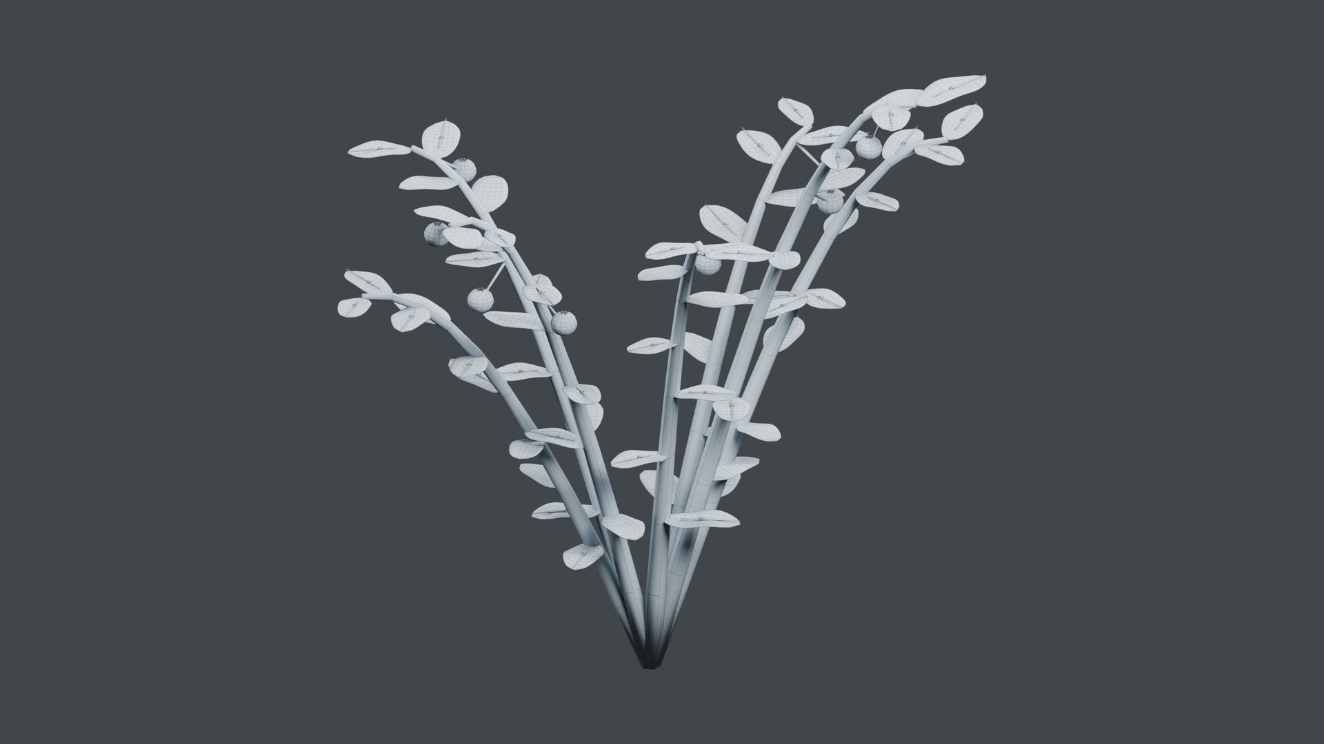 Frosted Lingonberry - Small Evergreen Leaves and Berries 3D https://p.turbosquid.com/ts-thumb/eS/2dnaQk/rN/wireframe/jpg/1793214402/1920x1080/fit_q87/09f6af7a8918bc4238dd656427d4665f47e6541b/wireframe.jpg