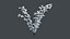 Frosted Lingonberry - Small Evergreen Leaves and Berries