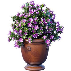 3D model Decorative Magnolia tree garden pot decoration classic style