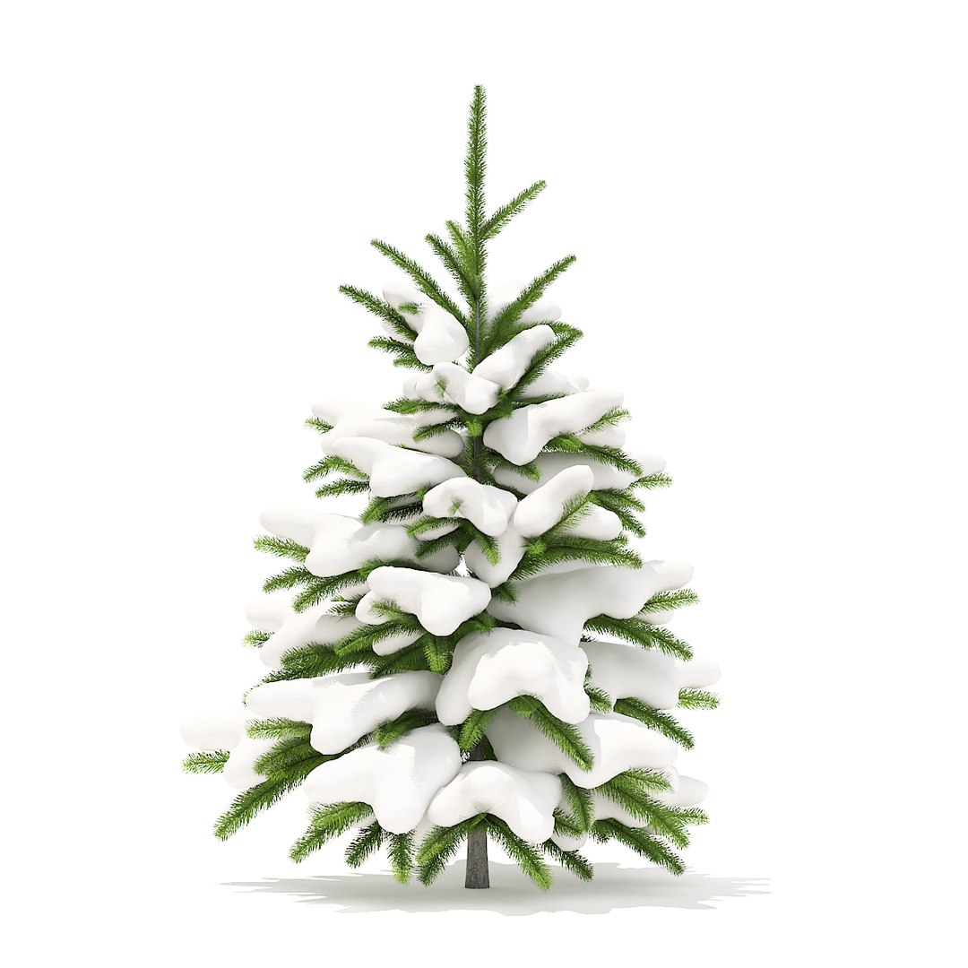 3D Fir Tree Snow 0 - TurboSquid 1273674