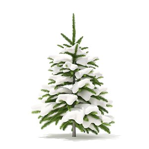 3D fir tree snow 0