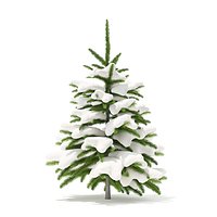 Fir Tree with Snow 3D Model 0.8m