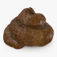 Poop 5