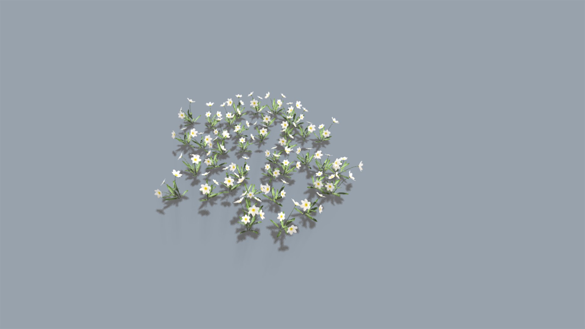 Flowers 3D model https://p.turbosquid.com/ts-thumb/eS/NARHok/8O/preview3/png/1645338048/1920x1080/fit_q87/ccaba46a1918e95b21ce25190f1581885d23bab9/preview3.jpg