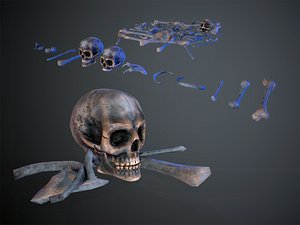 Skulls1 Alien Bones