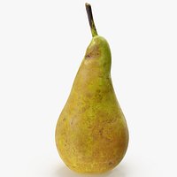Pear Conference 06