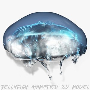 3D animal jellyfish