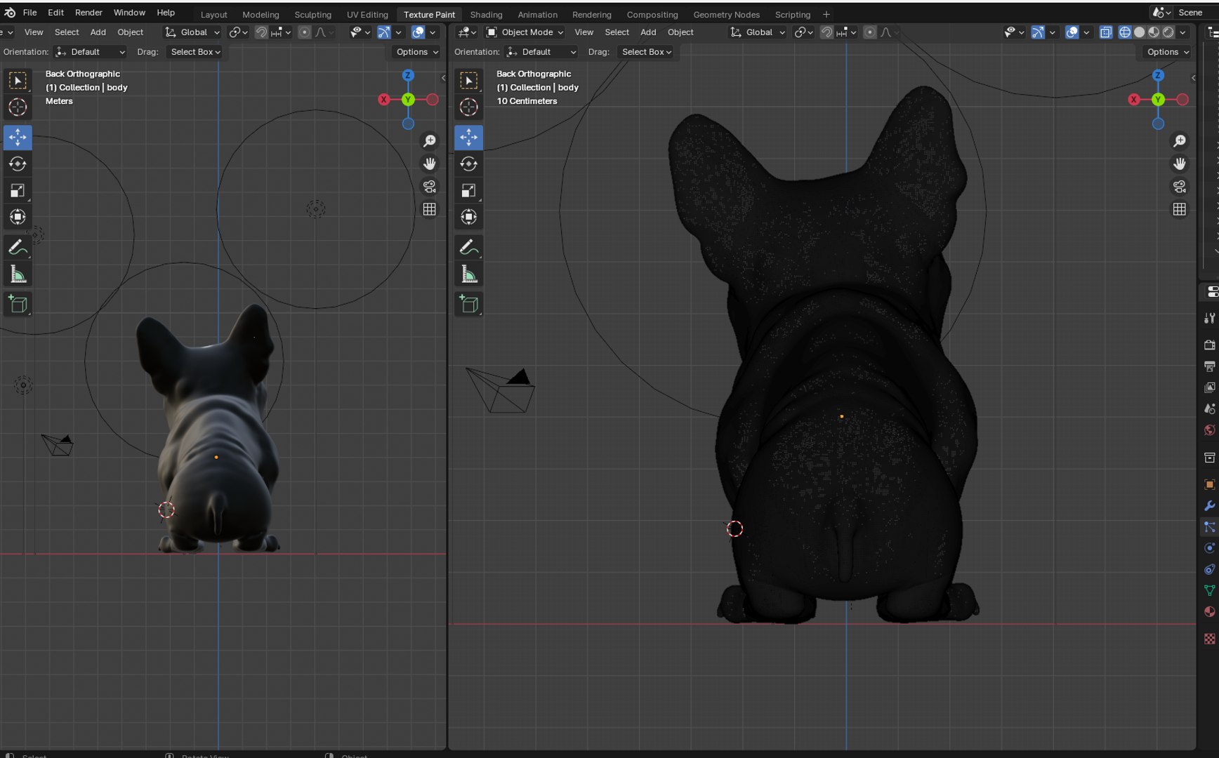 3D Frenchie RIGGED Model - TurboSquid 2230401