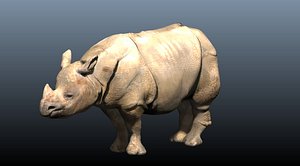 indian rhino obj