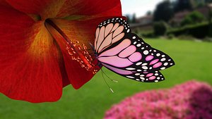 3D model butterfly flower
