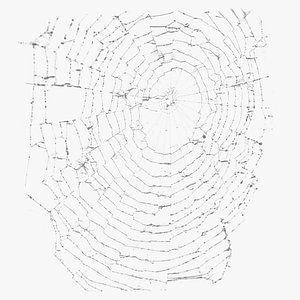 Spiderweb Realtime