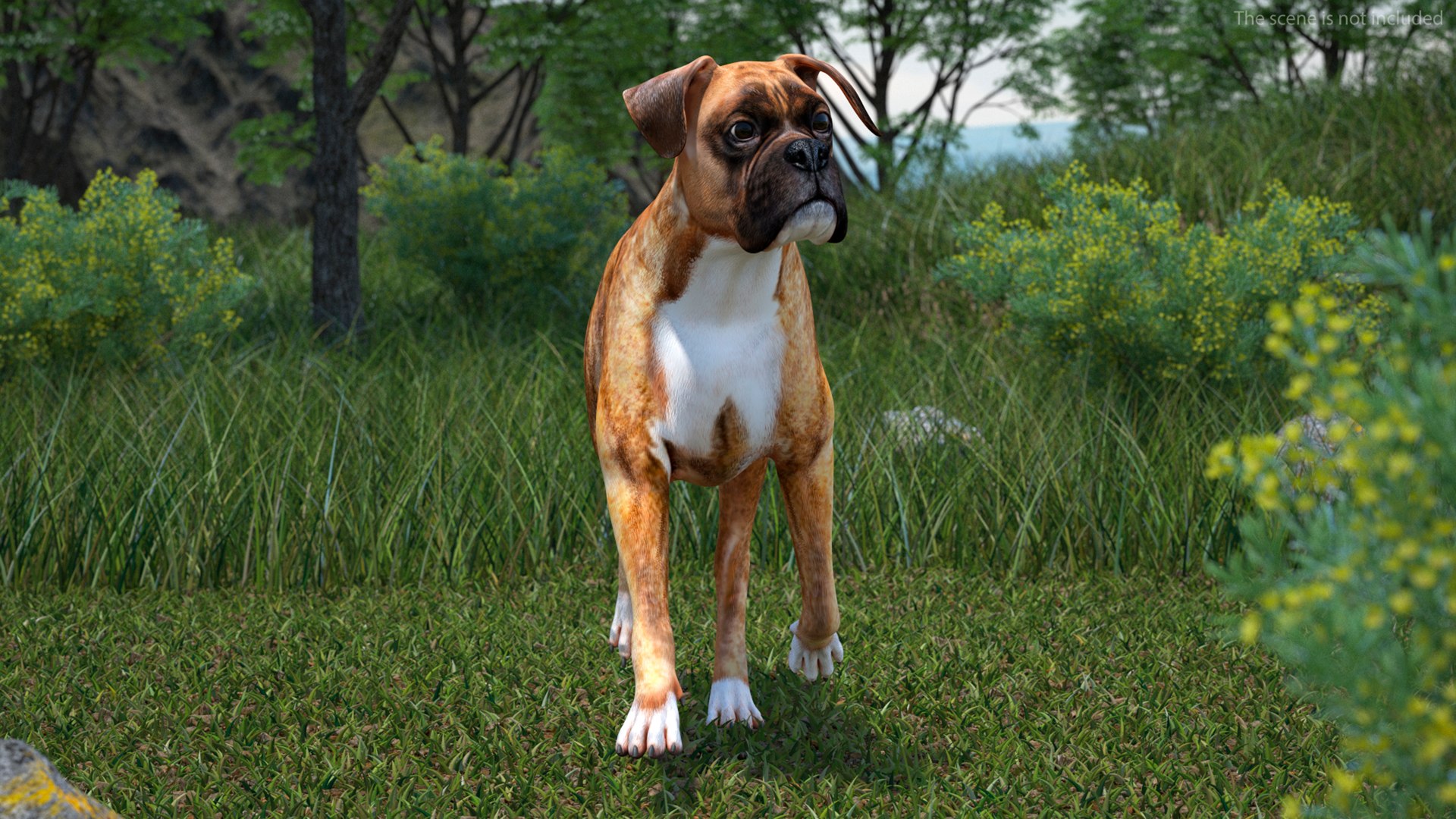 Running Dog Boxer Tiger Colored model https://p.turbosquid.com/ts-thumb/eT/G1CaS7/mU/runningdogboxertigercolored3dsmodel004/jpg/1719897922/1920x1080/fit_q87/e335d8b30f3d6b9fdc67ed7fadf7ee26e73b8262/runningdogboxertigercolored3dsmodel004.jpg