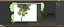 Platano Sycamore Platanus V16