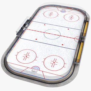 3D real hockey rink model