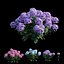 Ensemble d'hortensias végétaux 21