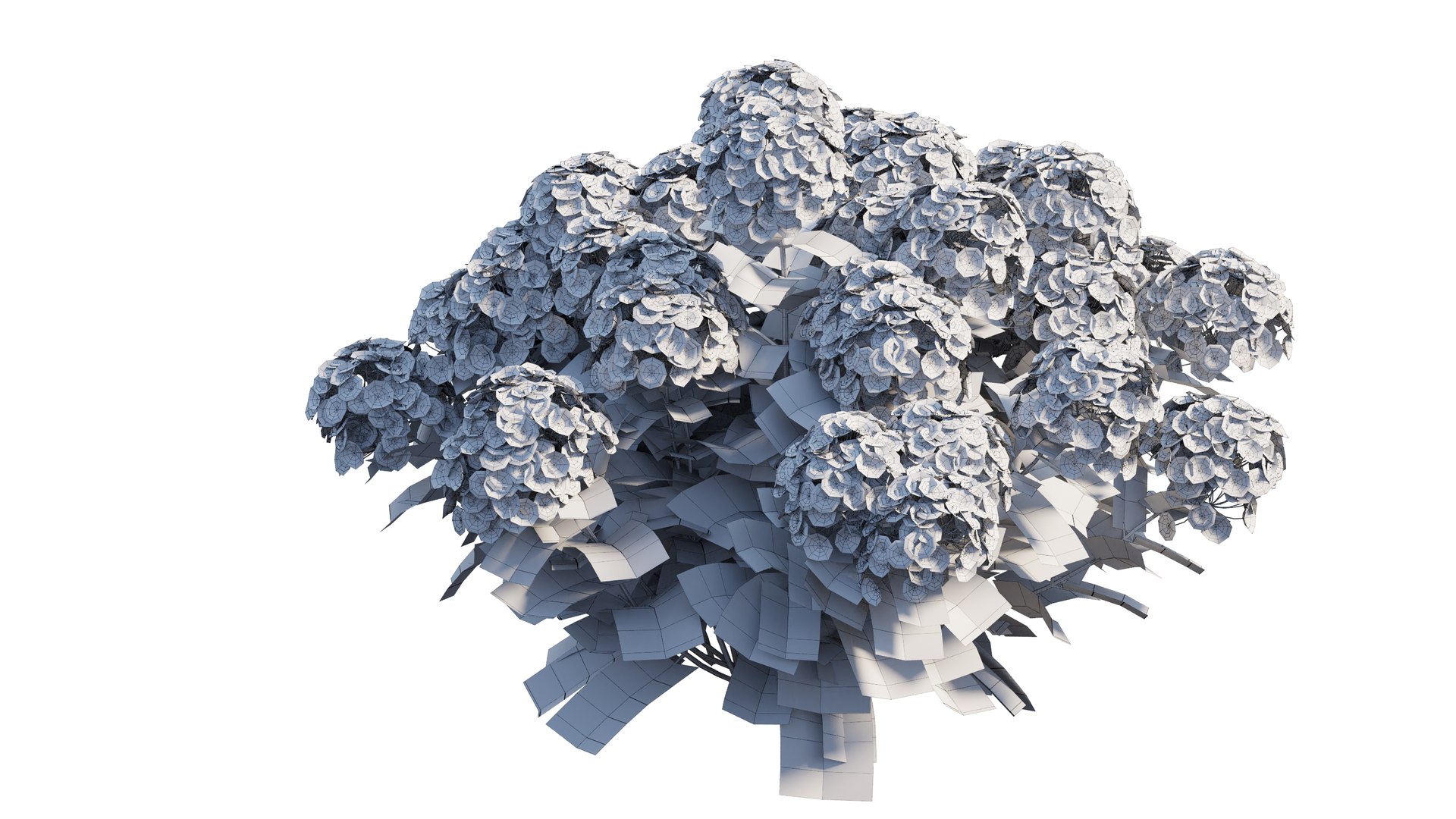 plants hydrangea set 21 3D https://p.turbosquid.com/ts-thumb/eT/Pqjpw2/55n8QfD8/8_interactivelightmix/png/1597000813/1920x1080/fit_q87/3f071f64d3ef44d1c6bc4da2a1ea770d0659d89f/8_interactivelightmix.jpg