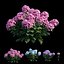 Ensemble d'hortensias végétaux 21
