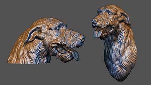 3D model Irish wolfhound bust