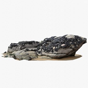 Rock 3D Scan 23 3D model