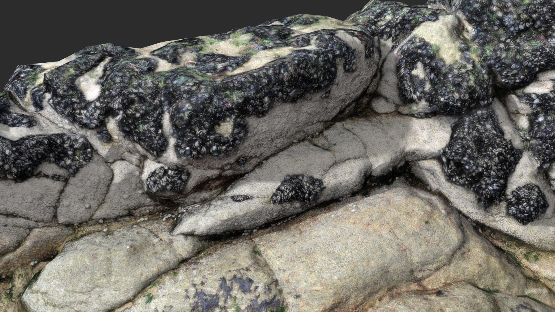 Rock 3D Scan 23 3D model https://p.turbosquid.com/ts-thumb/eT/VrPO6u/ub/preview_8/jpg/1631459752/1920x1080/fit_q87/f5b94d8378cfb7513605ee1cc483f4772d5cd78f/preview_8.jpg