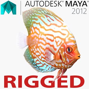 3d model symphysodon fish rigged