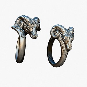 Aries ring in two versions 3D model