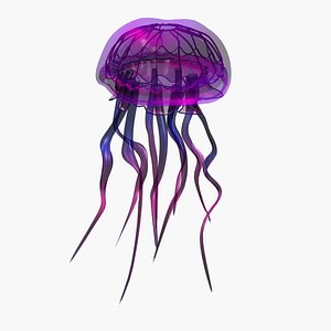 FANCY JELLY FISH