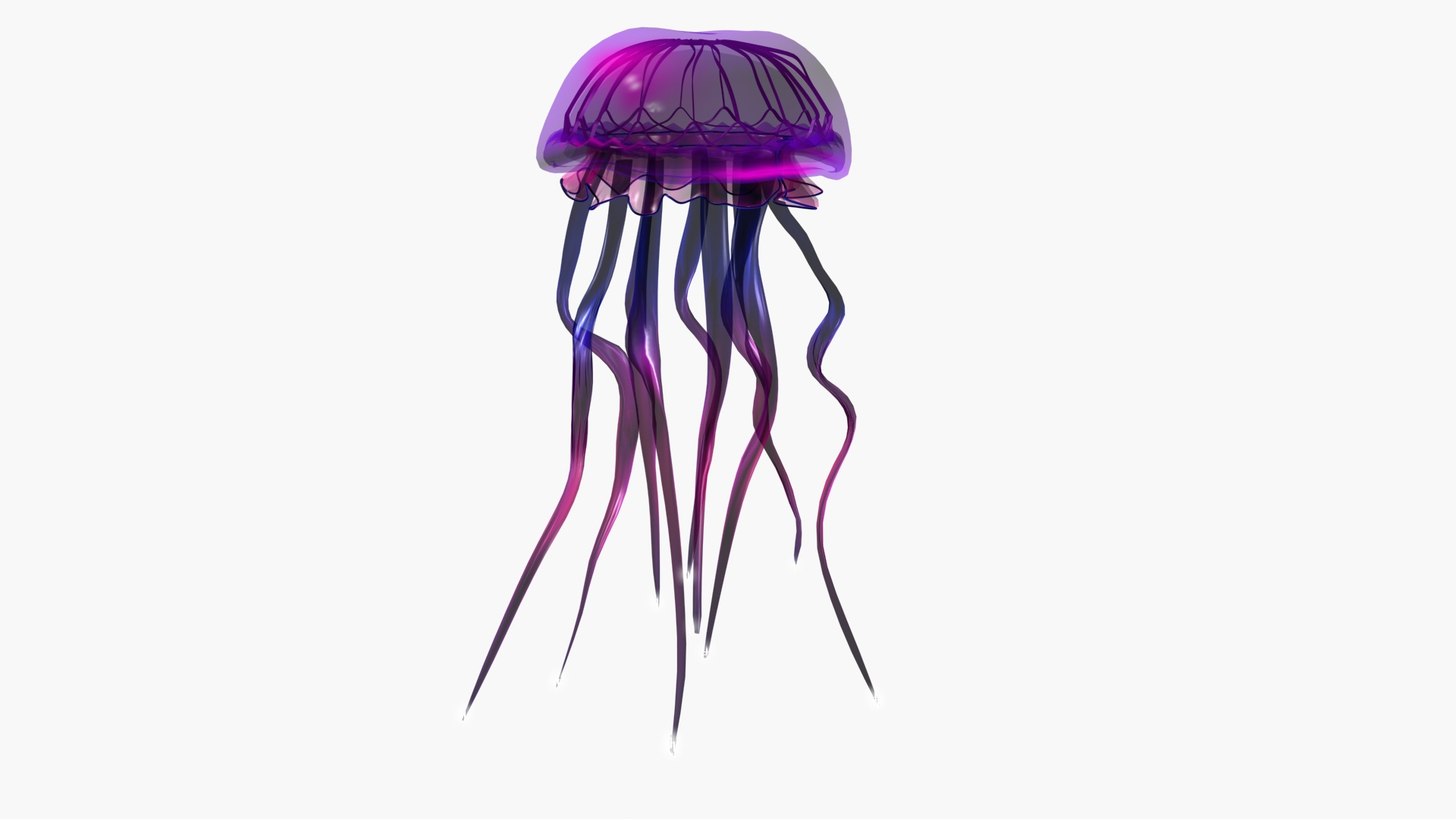 3D FANCY JELLY FISH - TurboSquid 1816774