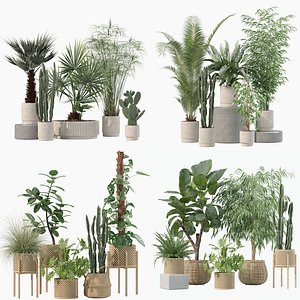 3D 20 Photorealistic Flowers for Interiors - set 203 205 218 219 3D model