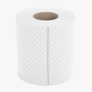 toilet paper model