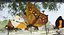 3D Butterfly Collection PBR Rigged Animated