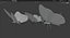3D Butterfly Collection PBR Rigged Animated