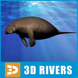 Stellers sea cow by 3Divers