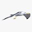Seagull