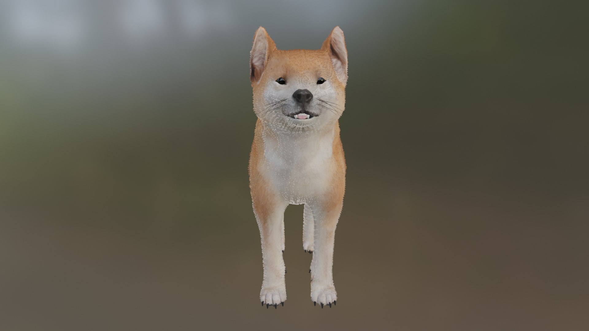 3D Model Shiba Inu - TurboSquid 2310286