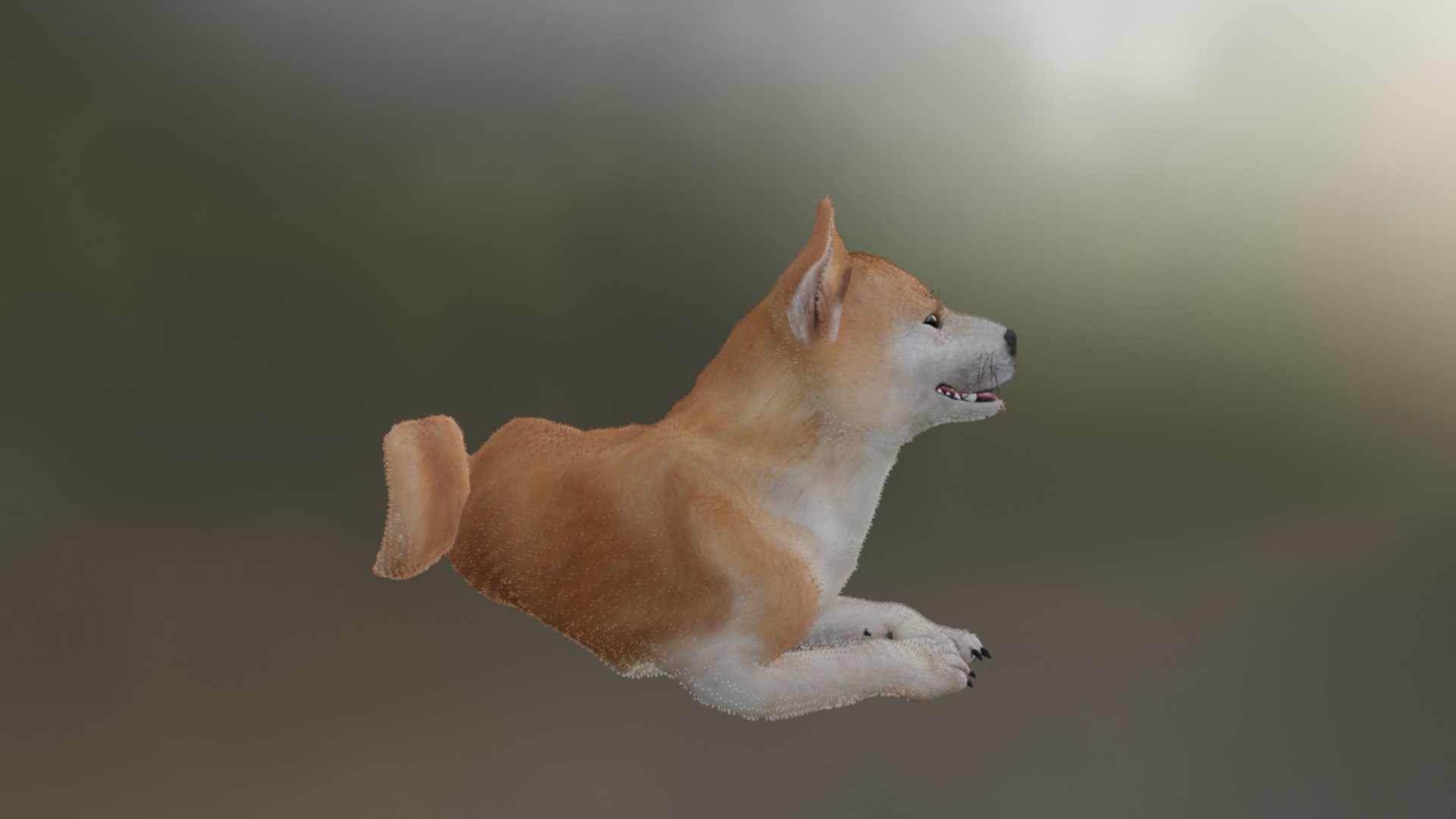 3D Model Shiba Inu - TurboSquid 2310286