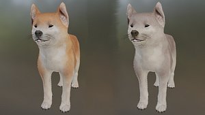 3D model Shiba inu