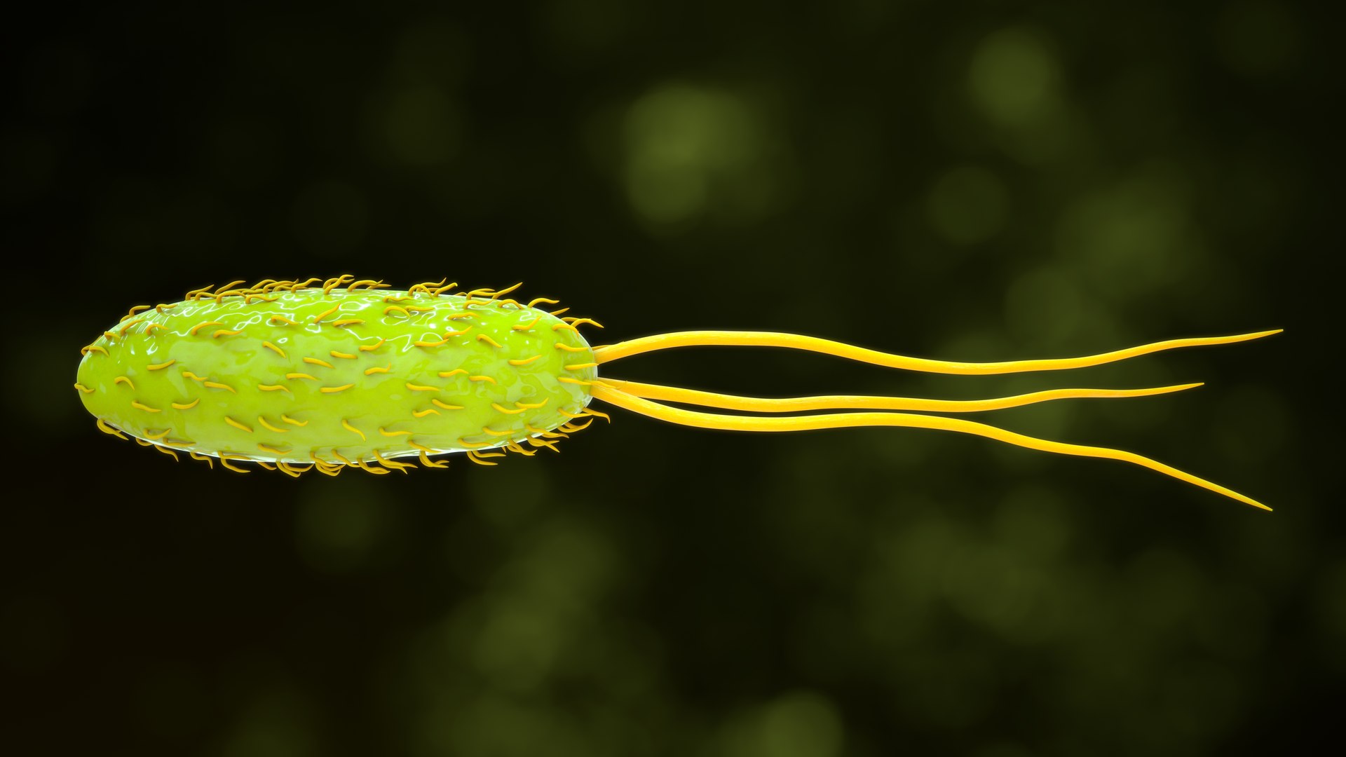 3D Archea TurboSquid 2209580