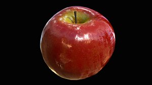 3D model realistic apple pbr ready