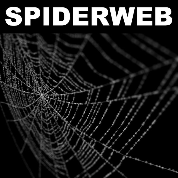 spiderweb web 3d model