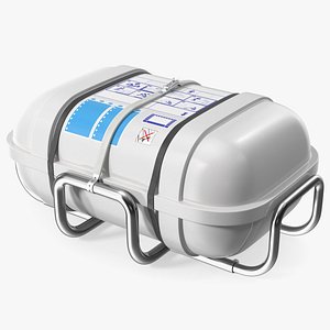 Standard Life Raft  Container 3D model