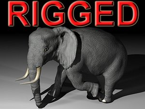 c4d rigged african elephant