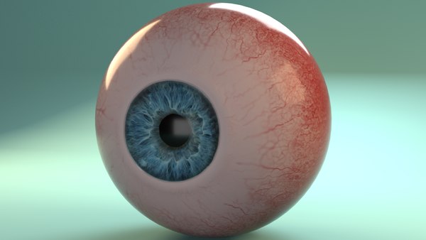 modelo 3d Fotorrealista ojo humano animado. - TurboSquid 1384075
