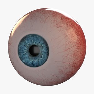 Photorealistic Human Eye_Animated