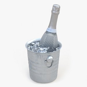 Freixenet Sparkling Wine in a Bucket of Ice