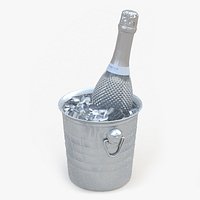 Freixenet Sparkling Wine in a Bucket of Ice