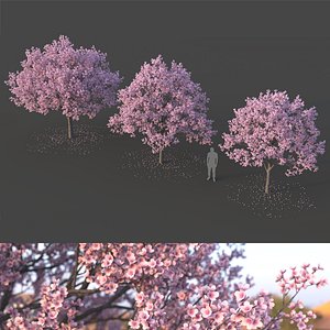 Sakura Tree Set