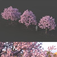 Sakura Tree Set